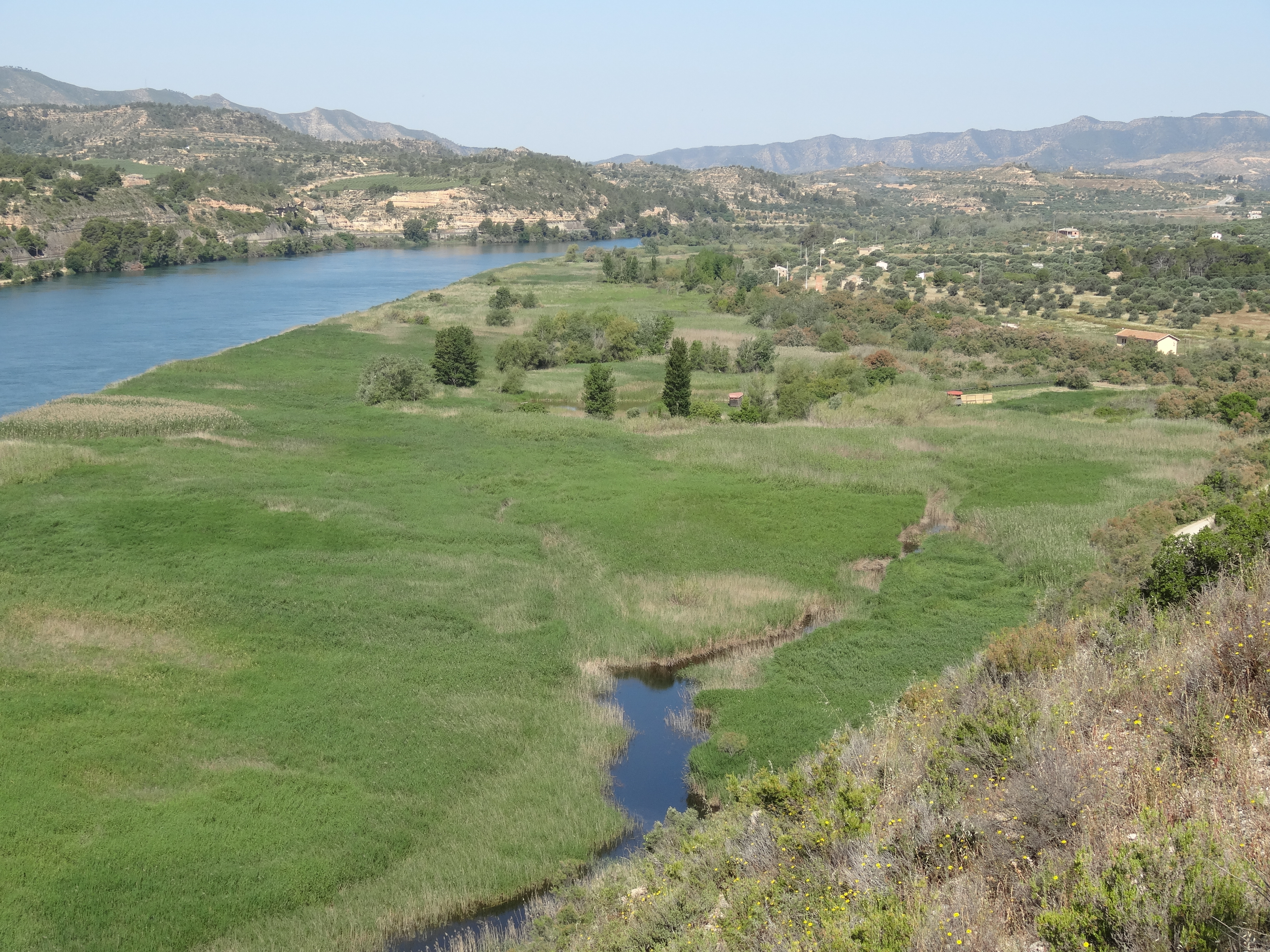 Sebes i Meandre de Flix