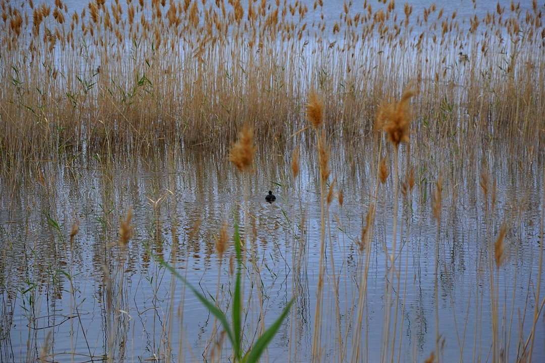 Platja de Riumar-Garxal